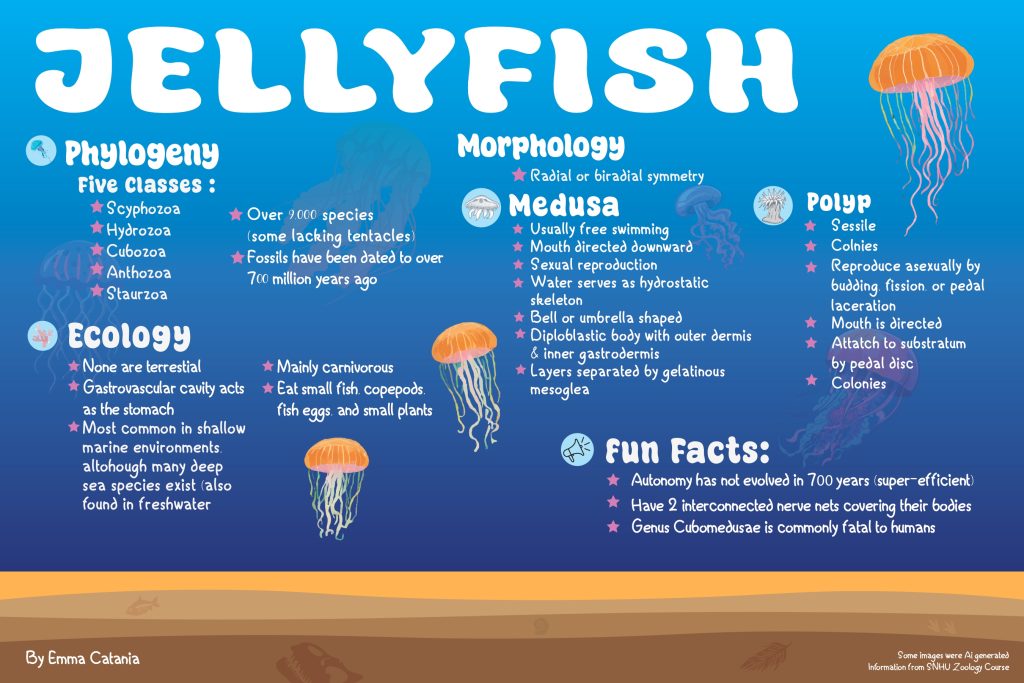 Poster with text about jellyfish and a fun blue background with jellyfish swimming